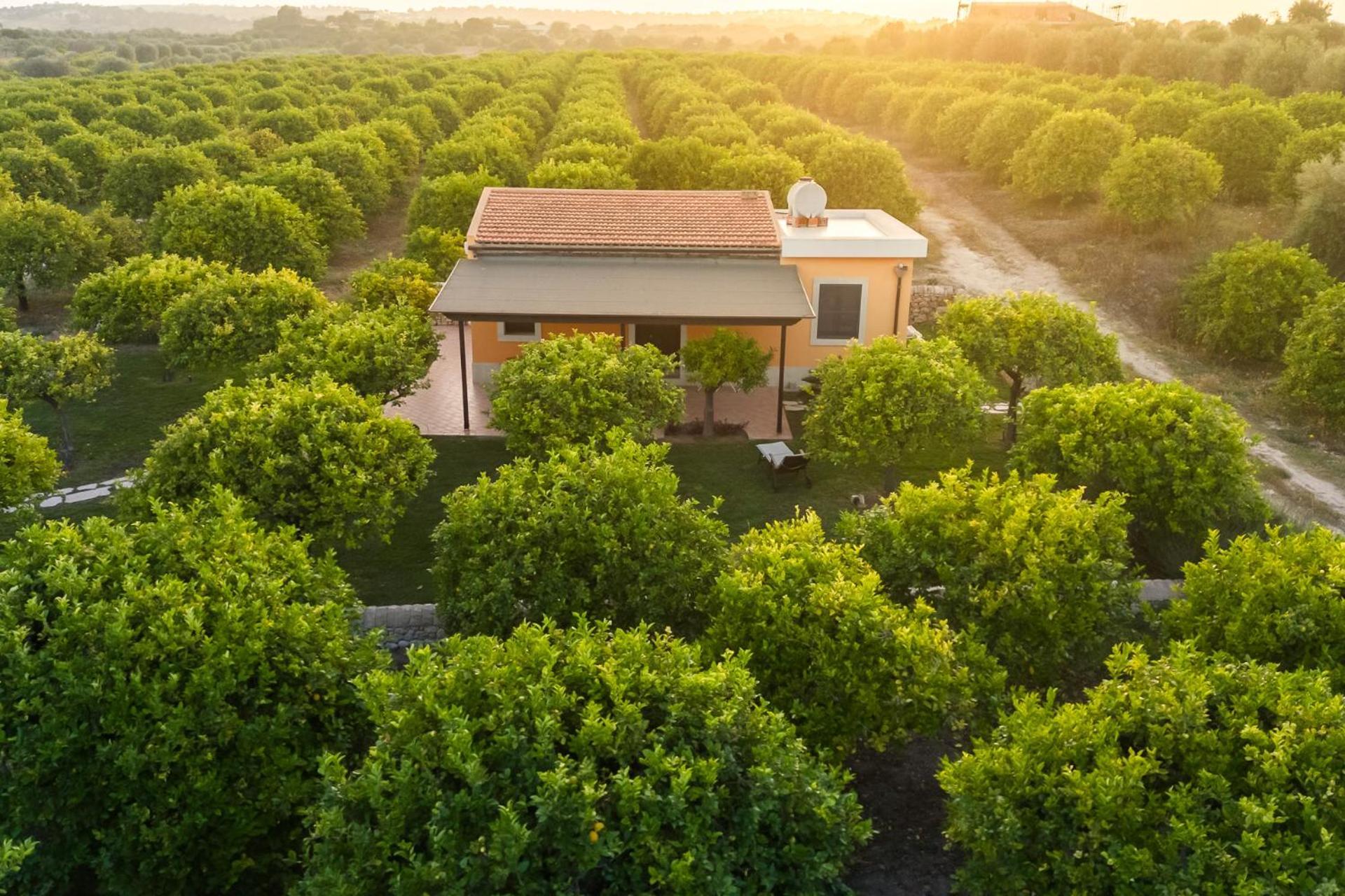 Fiore Di Vendicari B&B - Sicilian Charme, Lemon Grove And Sea Noto Luaran gambar